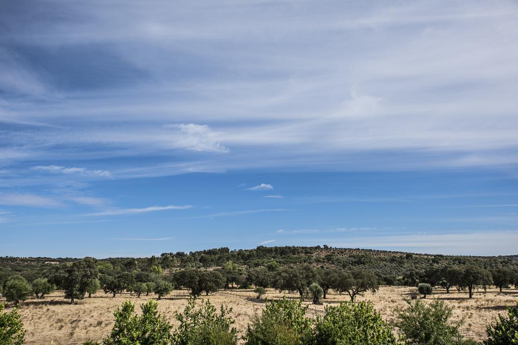 Herdade Dos Alfanges "The Barn" Viana do Alentejo Exterior photo